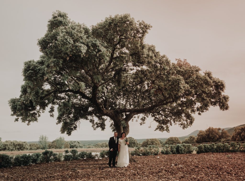 Fotógrafo de bodas en Guadarrama Finca El Jaral de la Mira